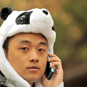 Panda-Bär in der Verbotenen Stadt
3883