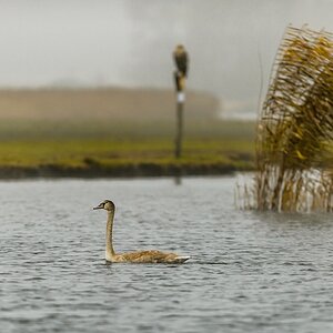20121116 0533 [NIKON D4] 300 mm,1 320 Sek. bei ƒ   2,8