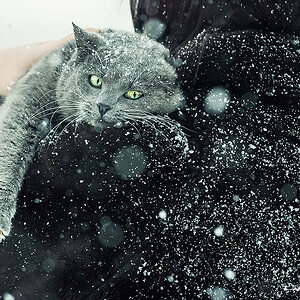 Schnee Shooting 001