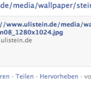 FB Hardcopy zum Linkveröffentlichen