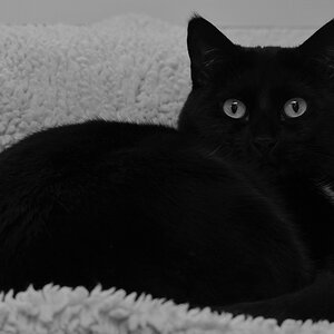 DSC 0075 02