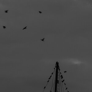 DSC 0548 (1)