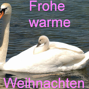 FroheWeihnachten