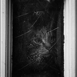 WebTmax400Dezember2012 020