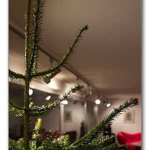 baum3