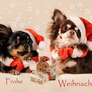 Frohe Weihnachten