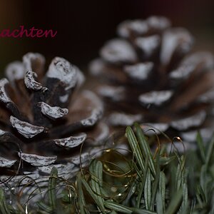 Weihnachtsgruß klein
