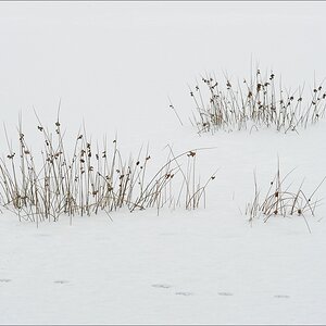 aacomp wittmoor 20130119 0014