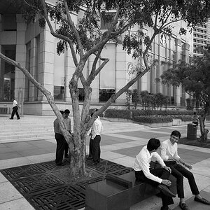 Singapur 2012 2013 1019941
