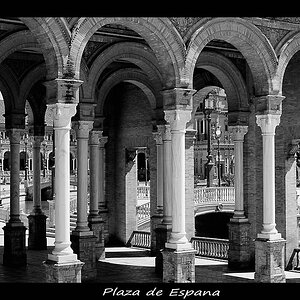 Columns