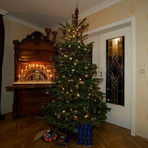 Baum 2012