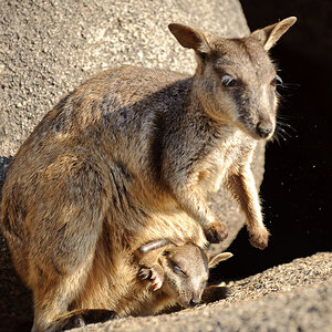 Reportage Australien 30