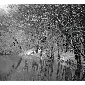 Nikkormat FT2, 1.4/50
FP4