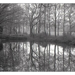 FT2 1.4/50, FP4