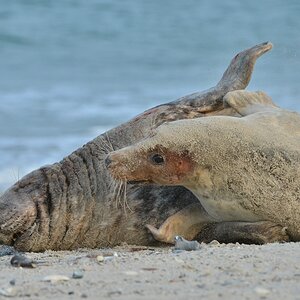 Helgoland 4 0299
Kleine Romanze am Strand IX