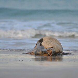 Helgoland 3 0894
Kleine Romanze am Strand I