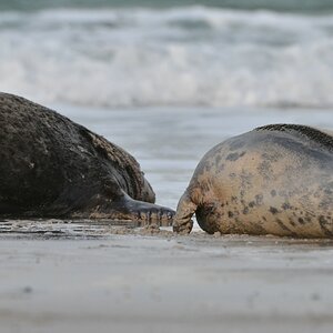 Helgoland 3 0892
Kleine Romanze am Strand II