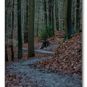 wald