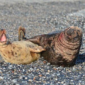 Helgoland 4 0670
Mama und Papa VI
Das hat Spaß gemacht!