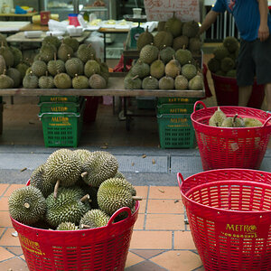 Singapur 2012 2013 1019469
