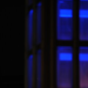 DSC 6243 web crop