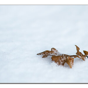 schnee3