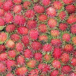 Rambutan