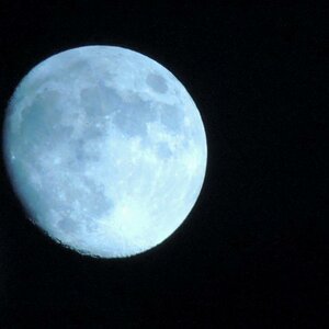 DSCN0780