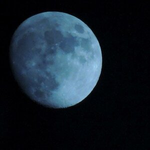 DSCN0781