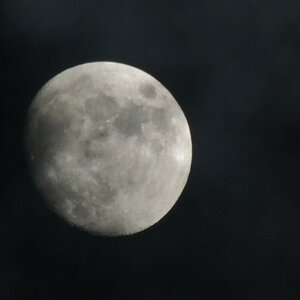 DSCN0789