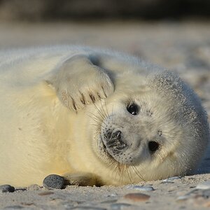 Helgoland 4 0776