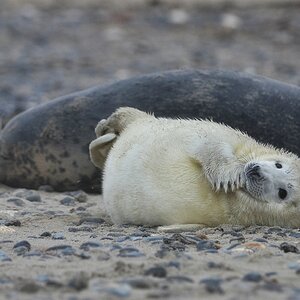 Helgoland 1 0153