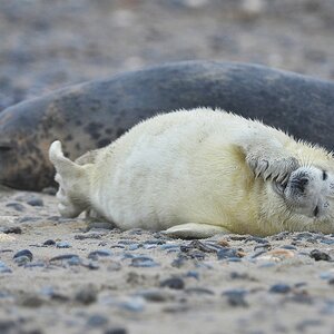 Helgoland 1 0123
