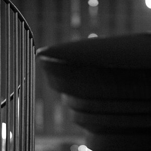 DSC 6259 web crop bw