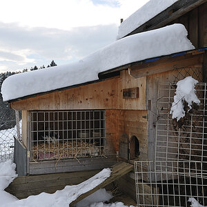 2013 01 20 13 33 39 Schnee 702 0375