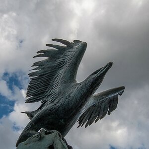 irland DSC 2220