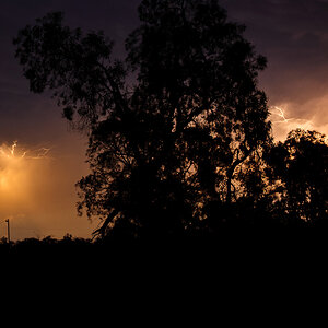Reportage Australien 36