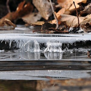 Bachlauf im Eis
070212_29
