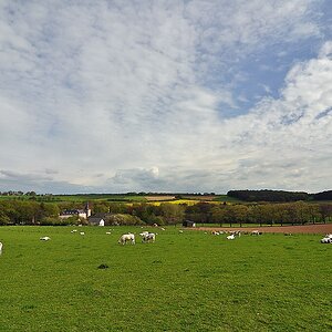 Zuid-Limburg 
Nr.010512_449