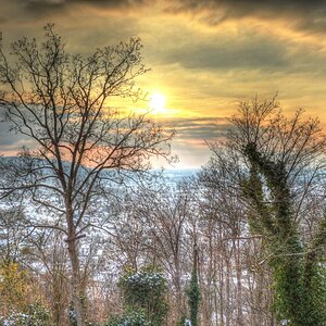 Turmberg Karlsruhe 3