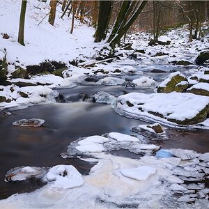 Winter in den Ardennen