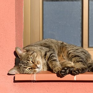 2013 01 09 09 43 56 DSF 3216