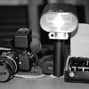 comp DSC 4107 bearbeitet

32 CT 7 und Zwischenringe