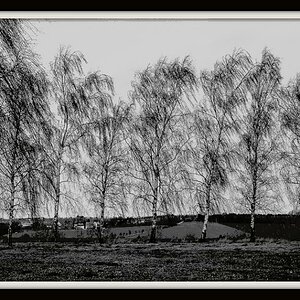Sturm