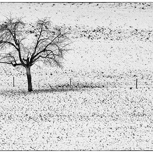WinterDSC 8249