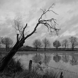 Feuchtgebiet2
