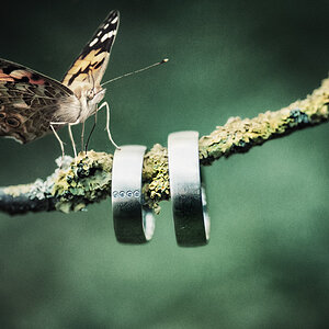Photodesign Radloff 0399