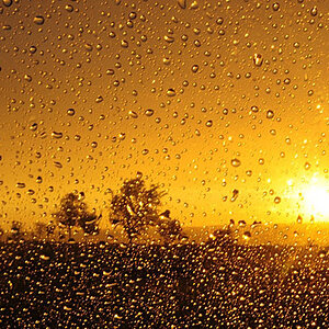 Rain1