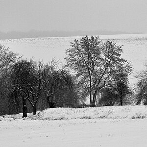 Wintgerlandschaft I