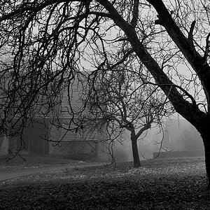 Winter im Dorf I